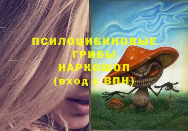 наркотики Богородск