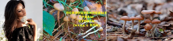 скорость mdpv Богородицк