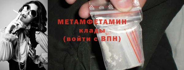 прущие грибы Богданович