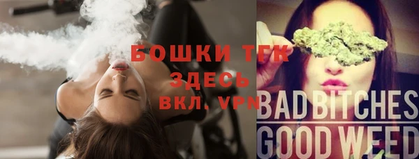 прущие грибы Богданович