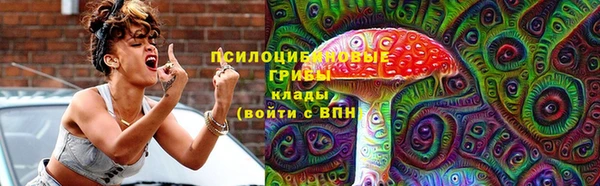 прущие грибы Богданович