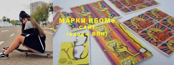 прущие грибы Богданович