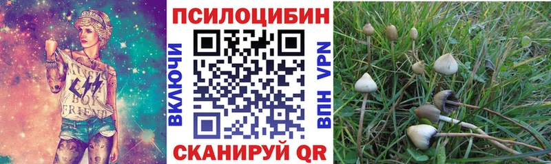 Псилоцибиновые грибы Psilocybine cubensis Красновишерск